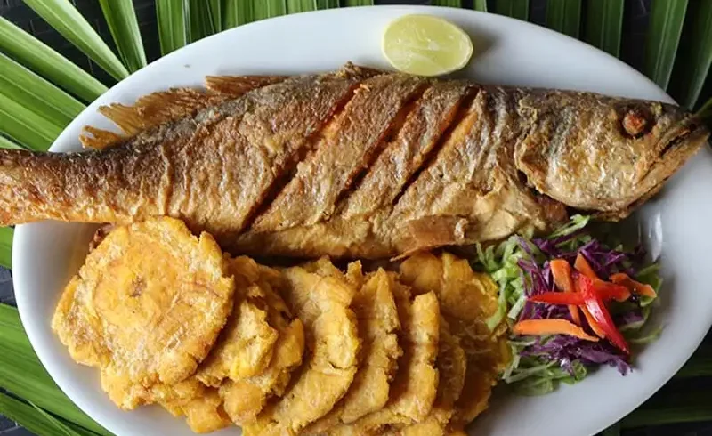 Tours en Perú - Amazonía 2D1N - 3