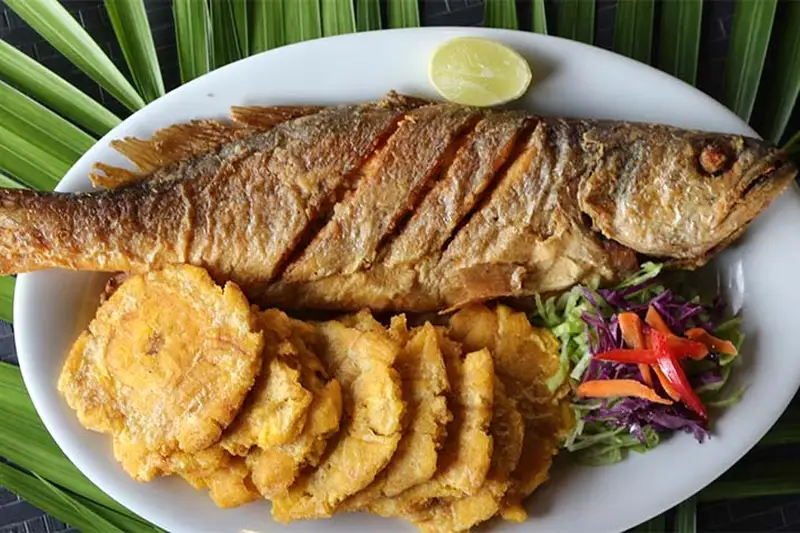 Tours en Perú - Amazonía 2D1N - 3