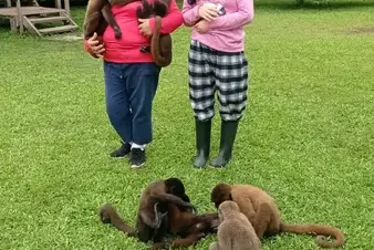Tours en Perú - Amazonía 4D3N - 1