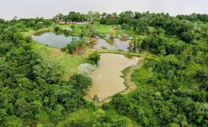 Tours en Perú - Amazonía 5D4N - 2