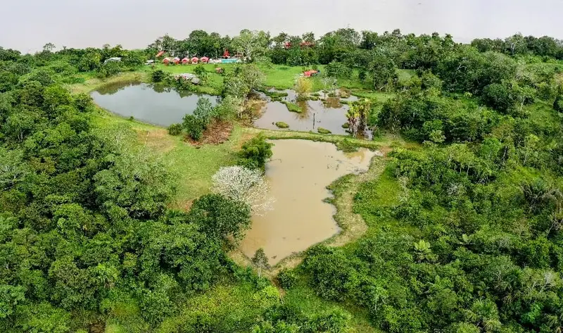 Tours en Perú - Amazonía 5D4N - 2