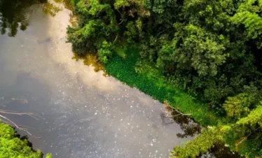 Tours en Perú - Pacaya Samiria 3 días y 2 Noches 2