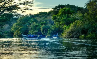 Tours en Perú - Selva Amazónica - Pacaya Samiria 5 días y 4 Noches 1