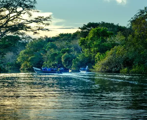 Tours en Perú - Selva Amazónica - Pacaya Samiria 5 días y 4 Noches 1