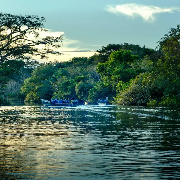 Tours en Perú - Selva Amazónica - Pacaya Samiria 5 días y 4 Noches 1