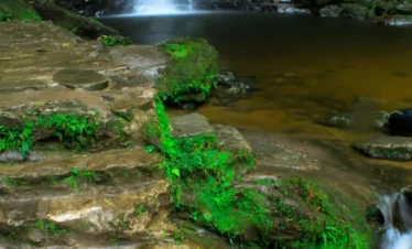 Tours en Perú Tarapoto - Tarapoto 4 días y 3 noches 1