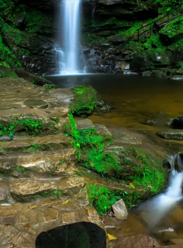 Tours en Perú Tarapoto - Tarapoto 4 días y 3 noches 1