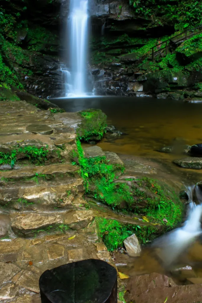 Tours en Perú Tarapoto - Tarapoto 4 días y 3 noches 1