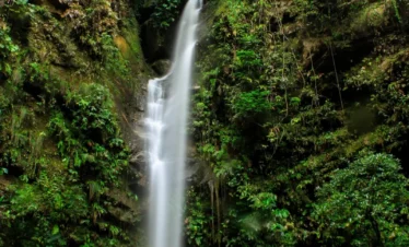 Tours en Perú Tarapoto - Tarapoto 4 días y 3 noches 2-2
