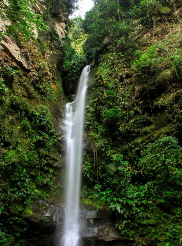 Tours en Perú Tarapoto - Tarapoto 4 días y 3 noches 2-2