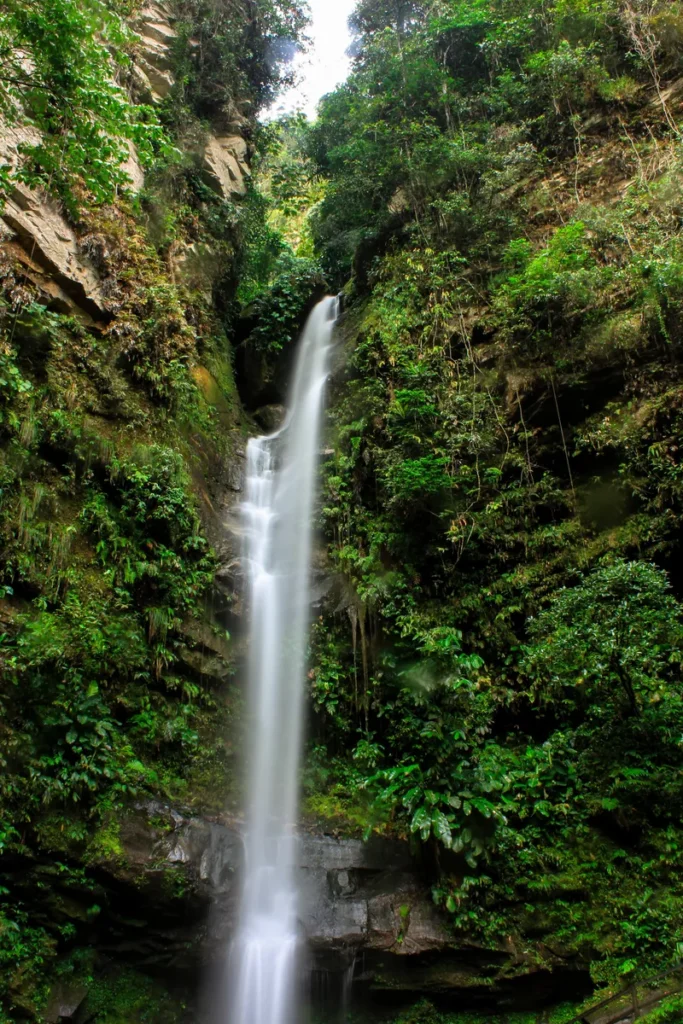 Tours en Perú Tarapoto - Tarapoto 4 días y 3 noches 2-2