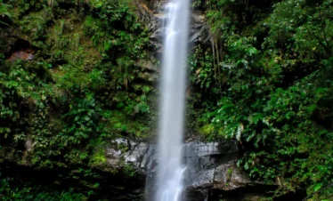 Tours en Perú Tarapoto - Tarapoto 5 días y 4 noches 2