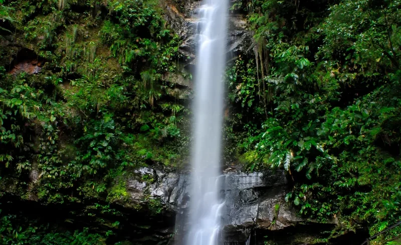 Tours en Perú Tarapoto - Tarapoto 5 días y 4 noches 2